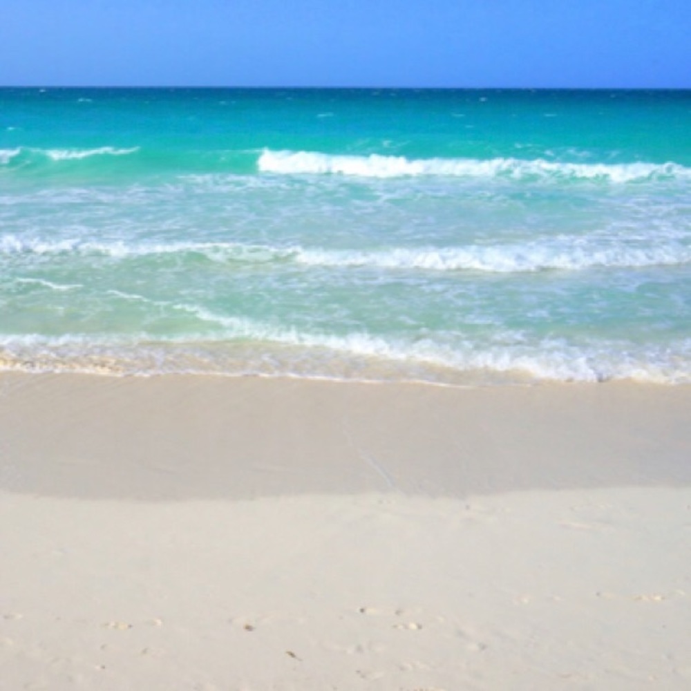 ⭐️Meet your Posher, Akuna⭐️